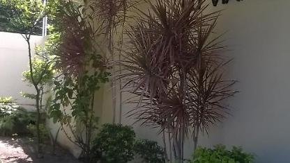 Apartamento para alugar em Guaruj&aacute;