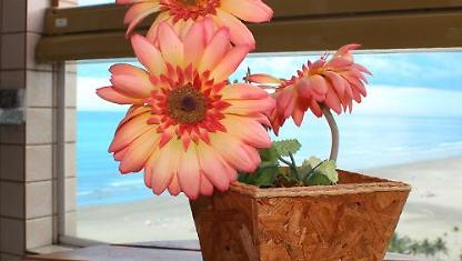 Apartamento para alugar em Praia Grande